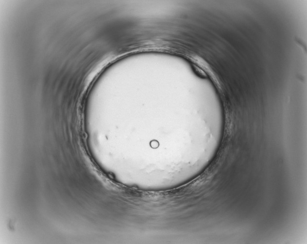 X0000102261099200808151834