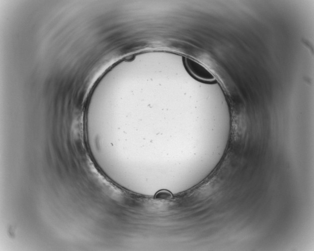 X0000102261100200808151834