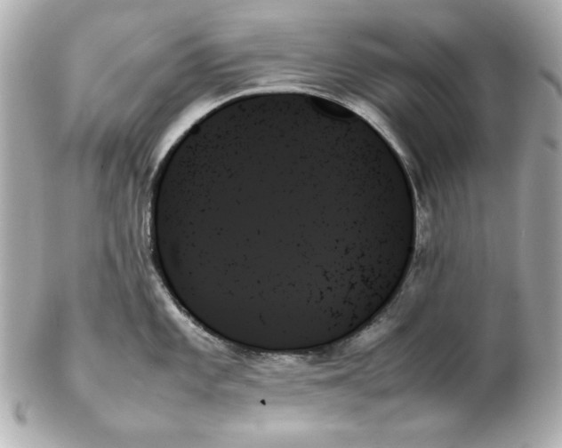 X0000102261101200808151834