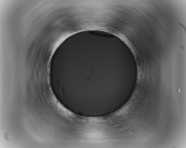 X0000102261102200808151834