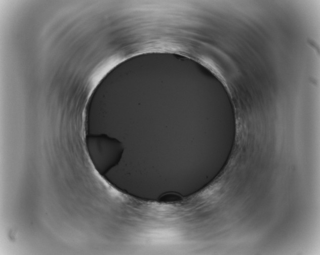 X0000102261103200808151834