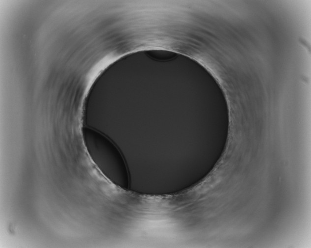 X0000102261104200808151834