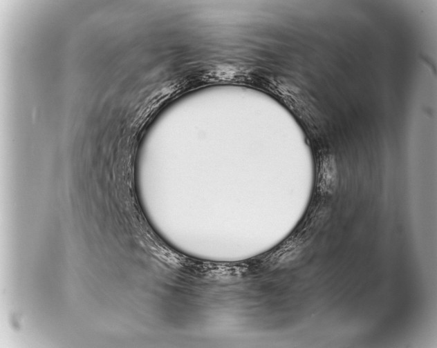 X0000102261105200808151834