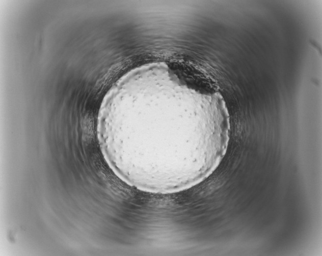 X0000102261106200808151834