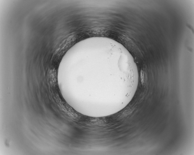 X0000102261107200808151834