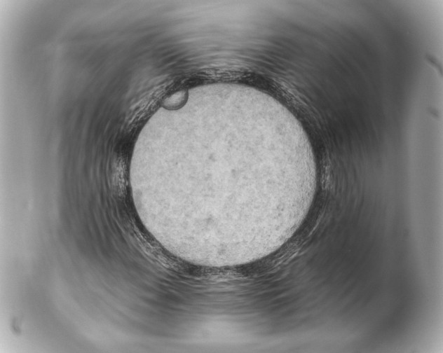 X0000102261108200808151834