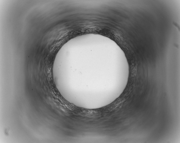 X0000102261109200808151834