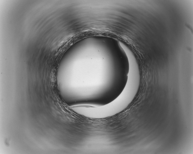 X0000102261110200808151834