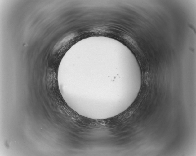 X0000102261111200808151834