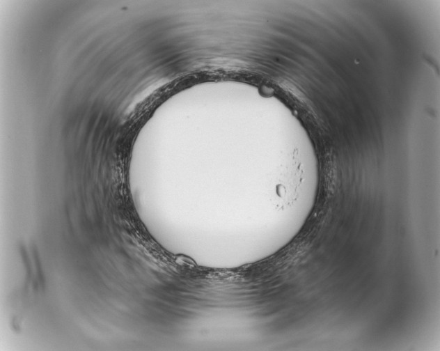 X0000102261112200808151834