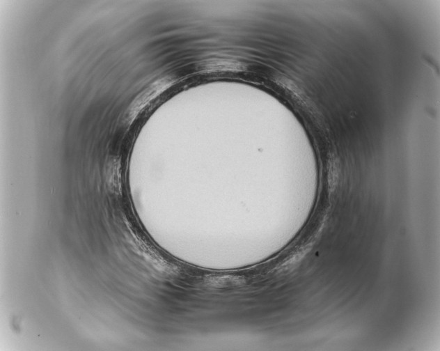 X0000102261113200808151834