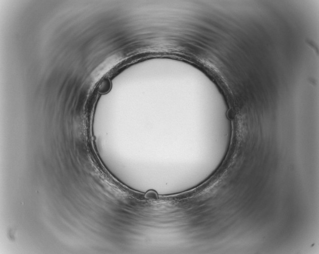 X0000102261114200808151834