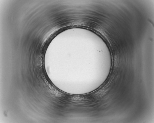 X0000102261115200808151834