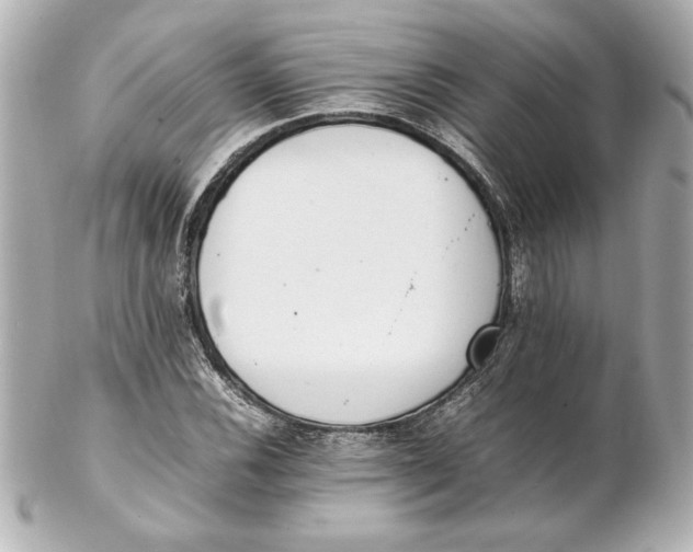 X0000102261116200808151834