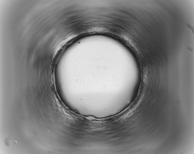 X0000102261117200808151834