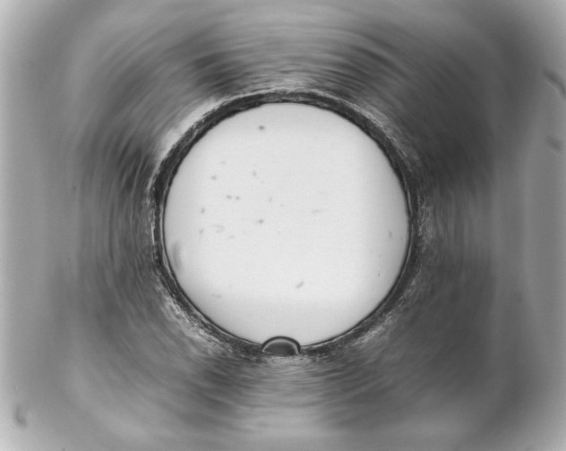 X0000102261118200808151834