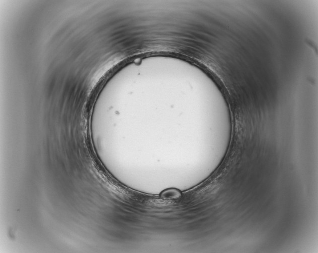 X0000102261119200808151834