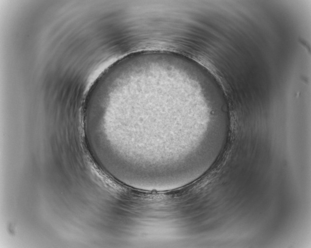 X0000102261120200808151834