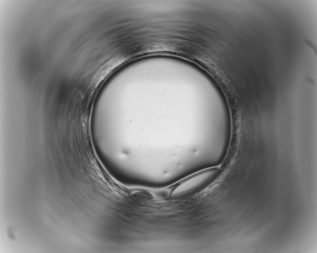 X0000102261121200808151834