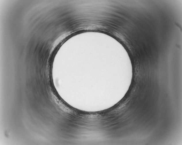 X0000102261122200808151834