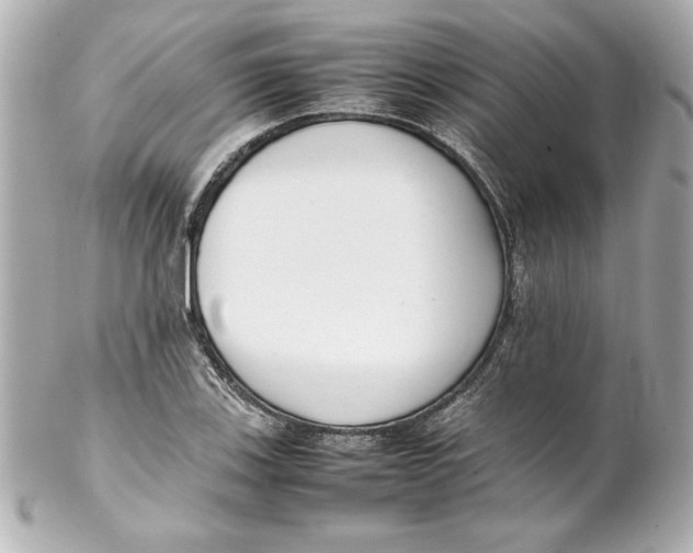 X0000102261123200808151834