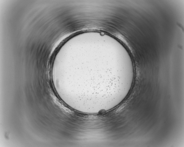 X0000102261124200808151834