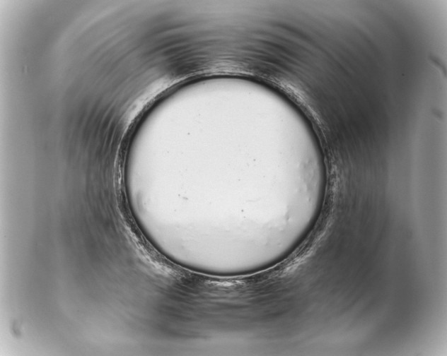 X0000102261125200808151834