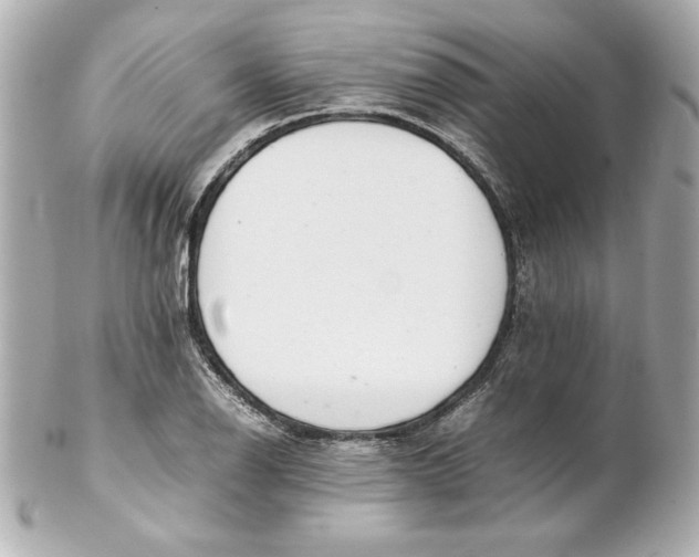 X0000102261126200808151834