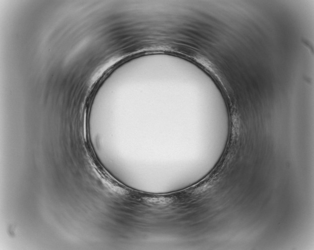 X0000102261127200808151834