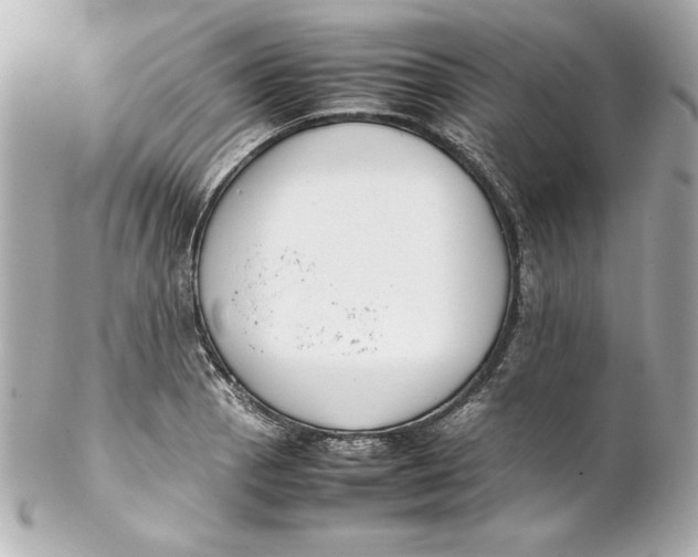 X0000102261129200808151834