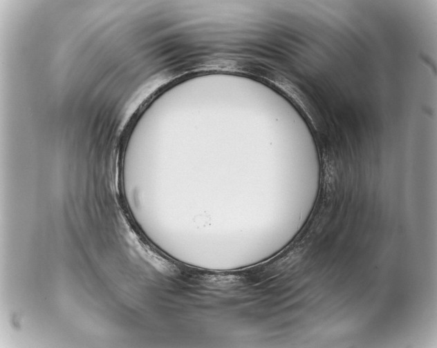 X0000102261131200808151834