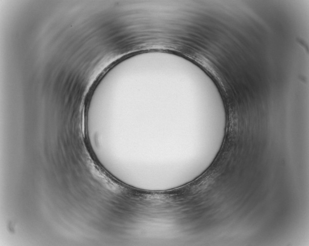 X0000102261132200808151834