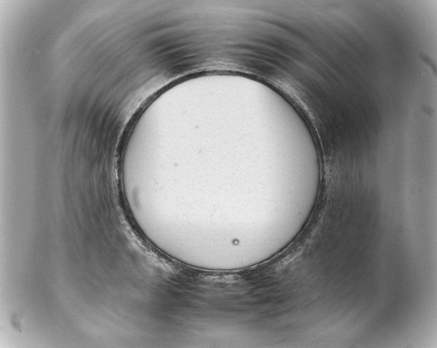 X0000102261133200808151834