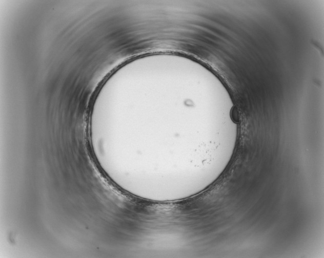 X0000102261134200808151834