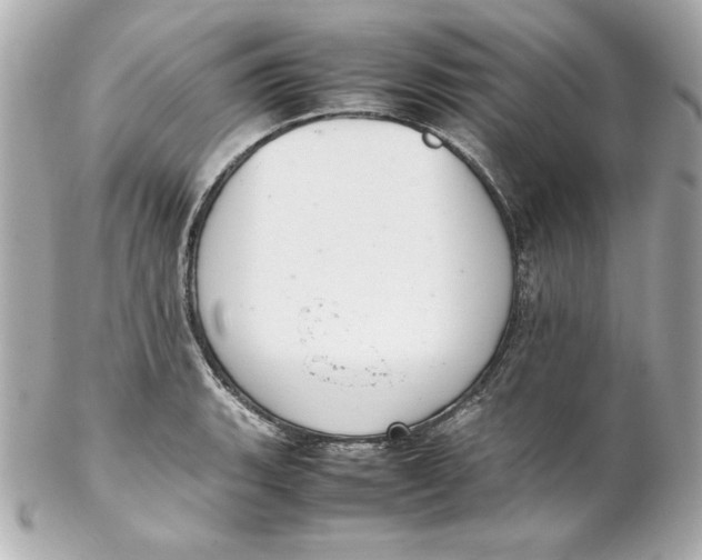 X0000102261135200808151834