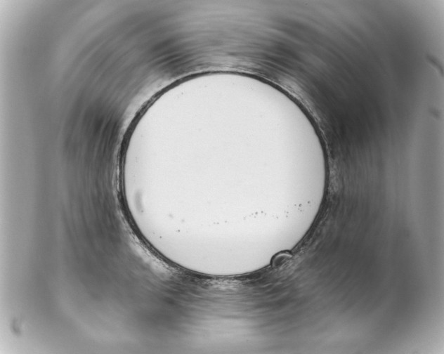 X0000102261136200808151834