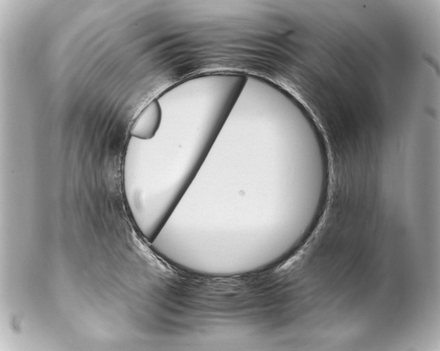 X0000102261137200808151834