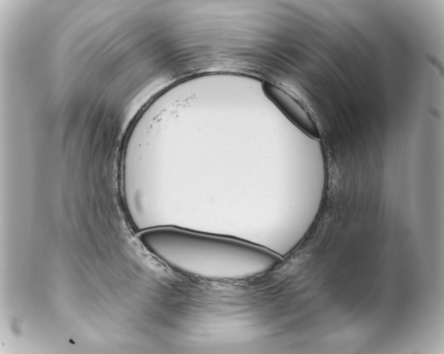 X0000102261138200808151834