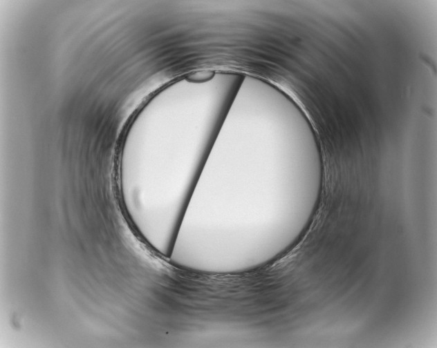 X0000102261139200808151834