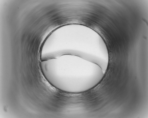 X0000102261140200808151834