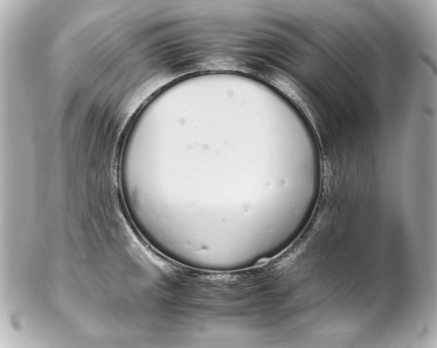 X0000102261141200808151834