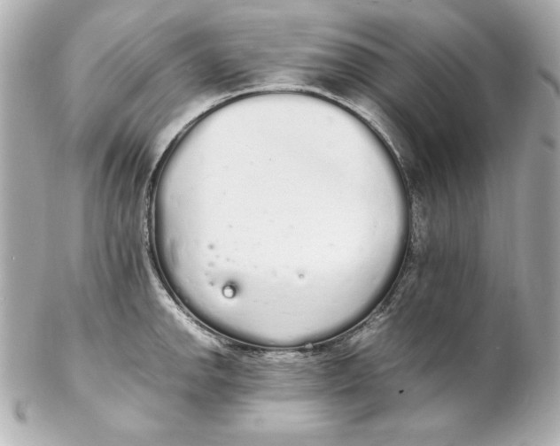 X0000102261142200808151834