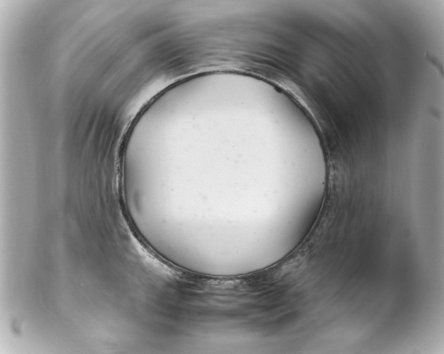 X0000102261143200808151834