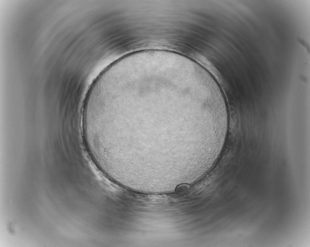 X0000102261144200808151834