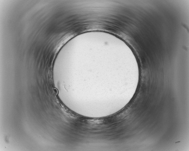 X0000102261145200808151834