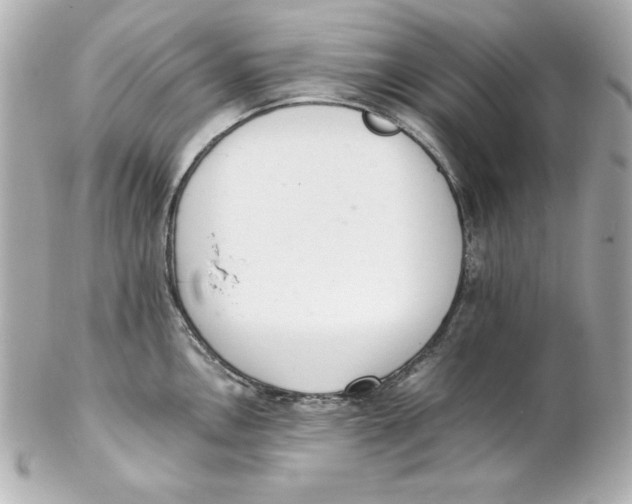 X0000102261146200808151834