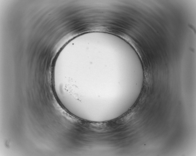 X0000102261147200808151834