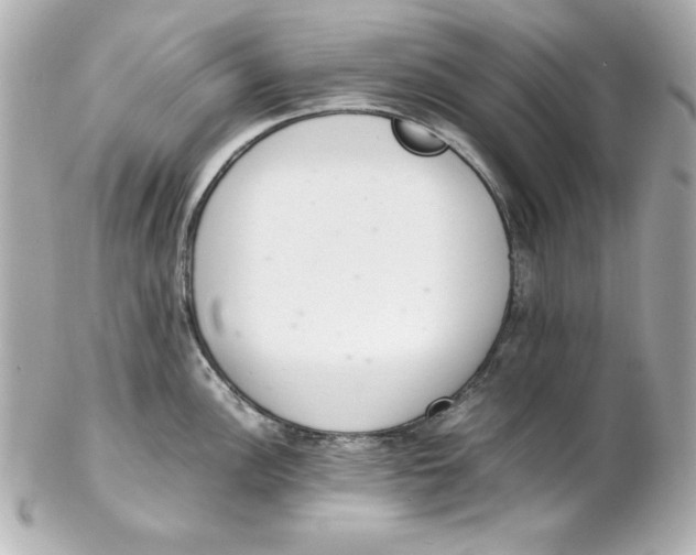 X0000102261148200808151834