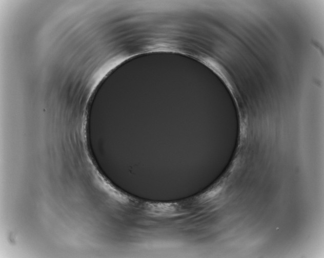 X0000102261149200808151834