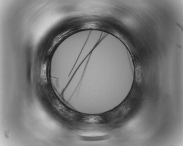 X0000102261150200808151834